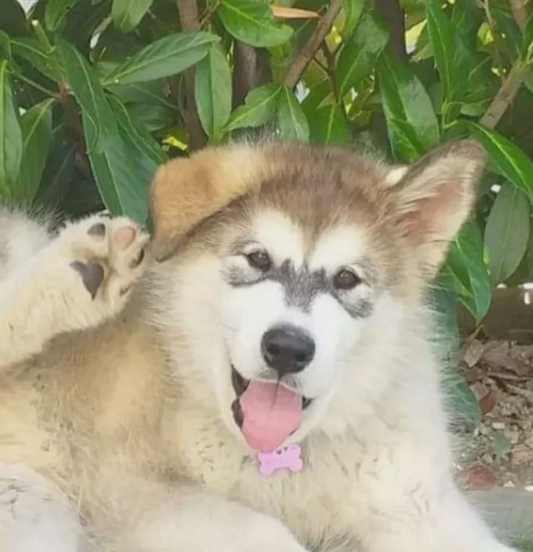 Ma photo quand j'étais petite 🐾