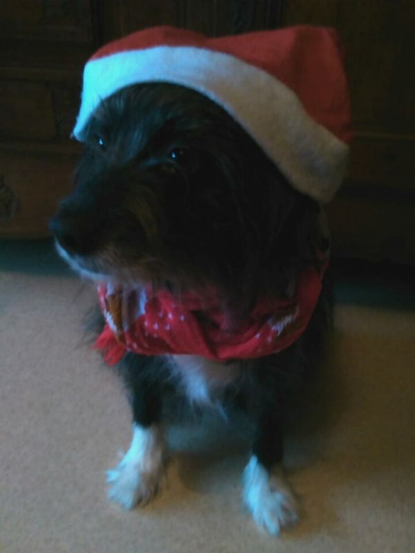 petit papa noel