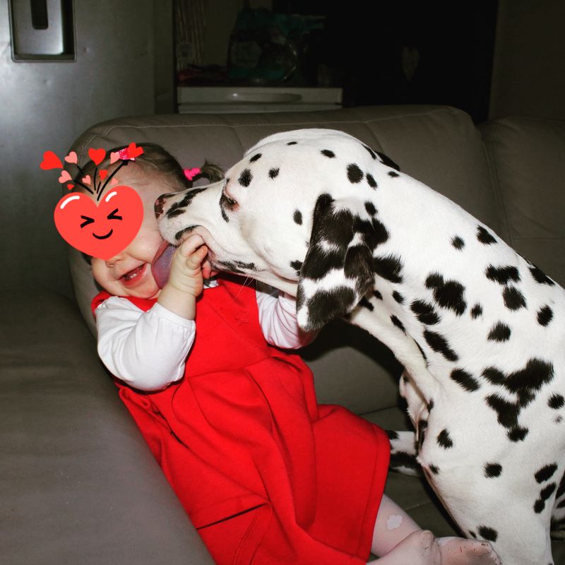 Parker et sa Valentine ❤